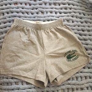 Gray casual shorts from Gatorland in FL